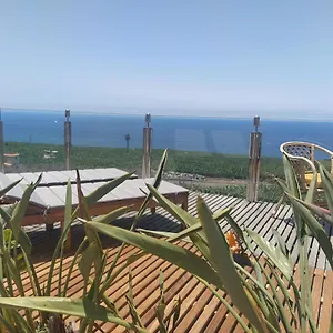 https://penthouse-la-palmita-tazacorte-la-palma.in-canary-islands.com